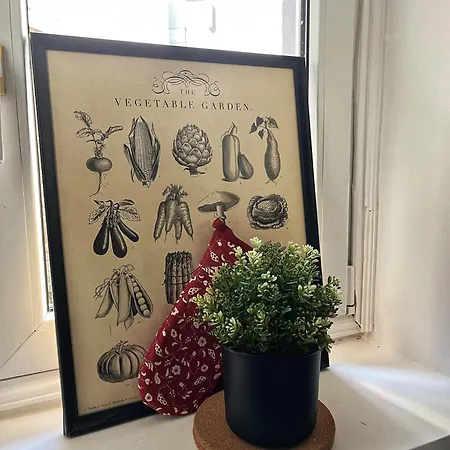 Old Soul Of Skadarlija Apartment *